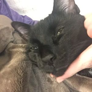 Meet your Posher, Marina